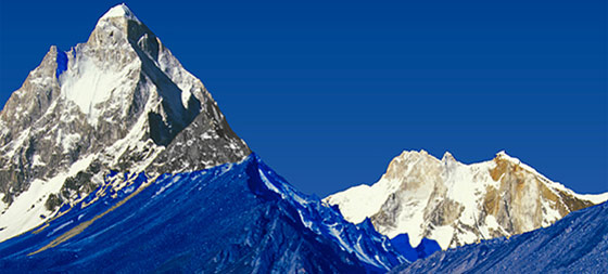 Climbing Sharkfin