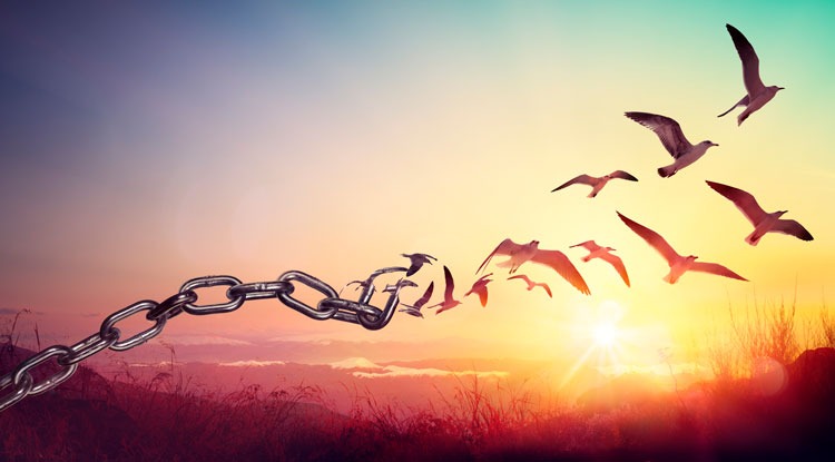 Acquisition Financing Term Sheets: Key Clauses that Make or Break Your Deal